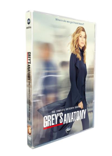 Grey's Anatomy Season 16 DVD Box Set - Click Image to Close